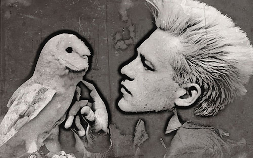 The Advocacy of Chris Packham