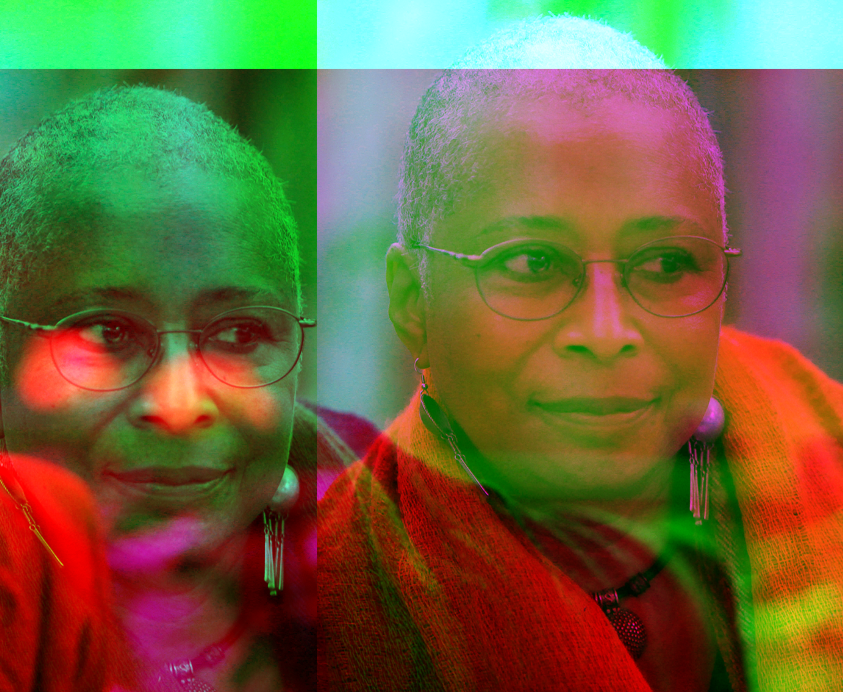 Alice Walker A Life of Art, Activism