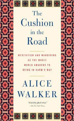 Alice Walker - The The Cushion in the Road - available at Promises Books
