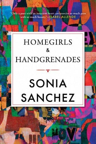 Homegirls and Handgrenades available at Promises Books